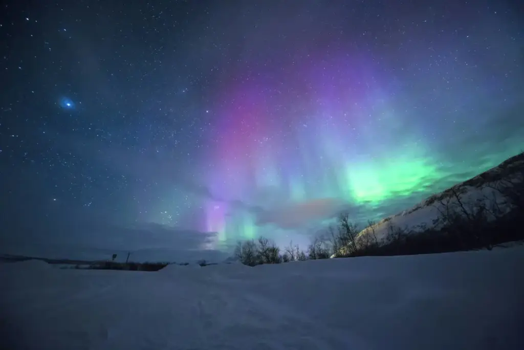 Aurora borealis over a Norwegian fjord